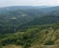 Drumul Bunila Vadu Dobrii Tinutul Pădurenilor Foto Daniel Guță ADEVĂRUL (18) jpg