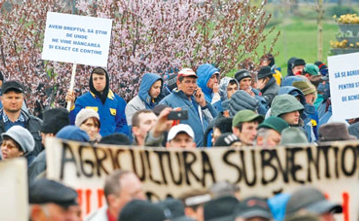 
    Fermierii au protestat, ieri, ore în şir în faţa Guvernului  