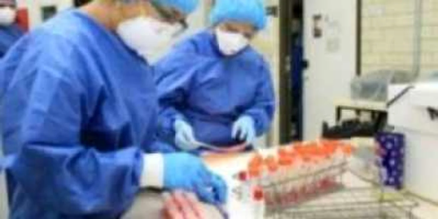 Primele mostre de vaccin împotriva gripei porcine produse de Institutul Cantacuzino