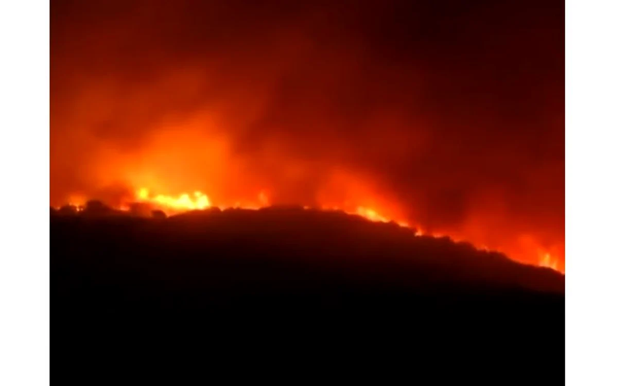 
    Italia a cerut statelor europene să trimită avioane pentru a ajuta la stingerea incendiilor care au cuprins părţi din SardiniaFoto: captură video  