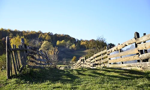 Rustic fence (Unsplash) jpg