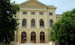 antipa jpg