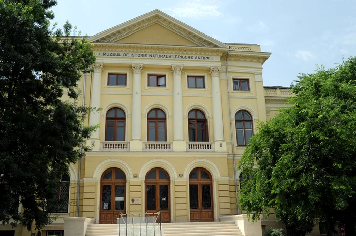Muzeul Naţional de Istorie Naturală „Grigore Antipa” / foto: arhiva
