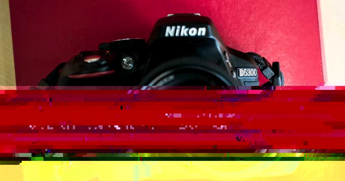nikond5300 foto razvan baltaretu/adevarul