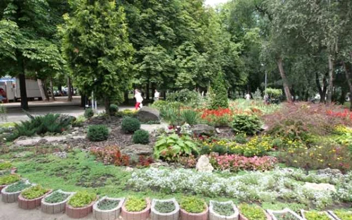 flori