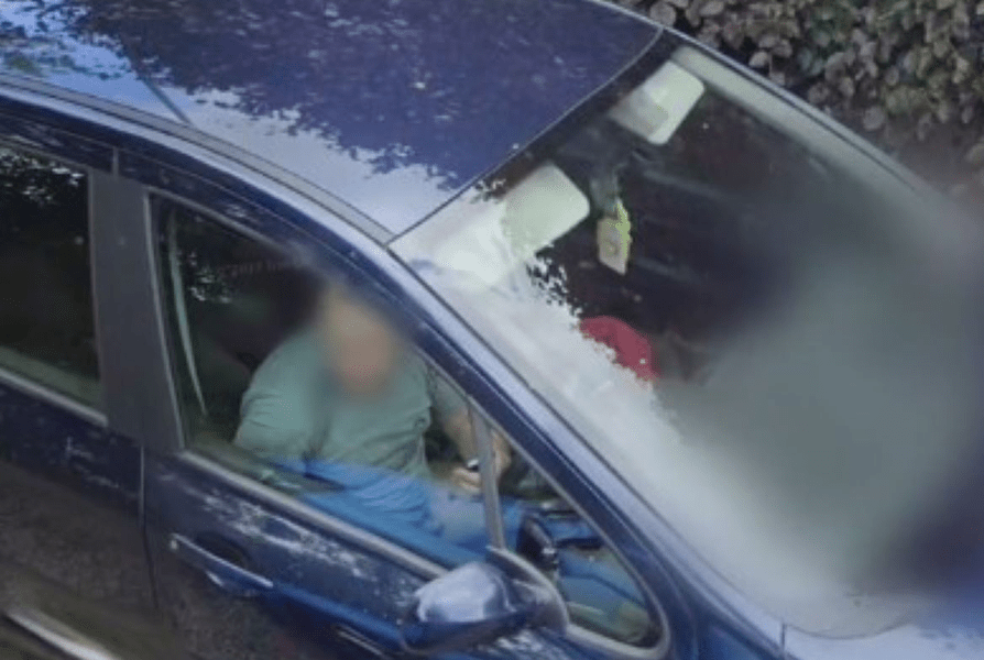 Bărbat surprins de Google Maps într-o ipostază intimă. A încercat să se ascundă, dar a devenit viral VIDEO