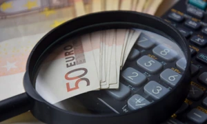 lupa bani euro calculator