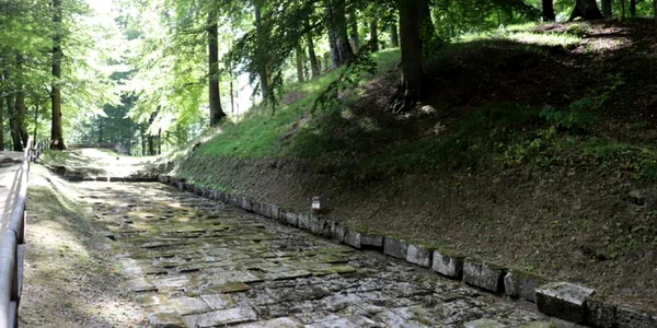 sarmizegetusa regia foto danel guta adevarul