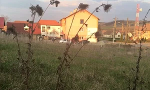 captura locuinta asistenta jpeg