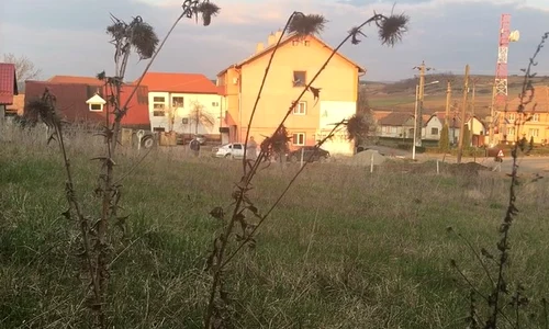 captura locuinta asistenta jpeg