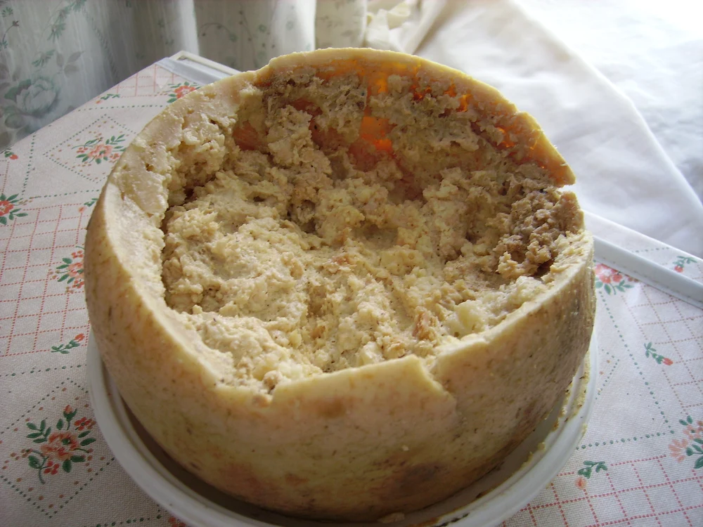 Casu Martzu FOTO wikipedia