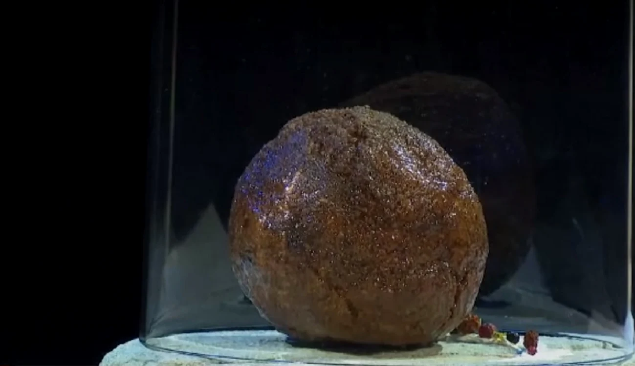 Chiftea din carne de mamut  FOTO captura video