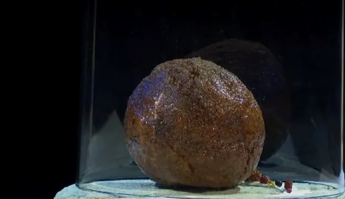 Chiftea din carne de mamut FOTO captura video