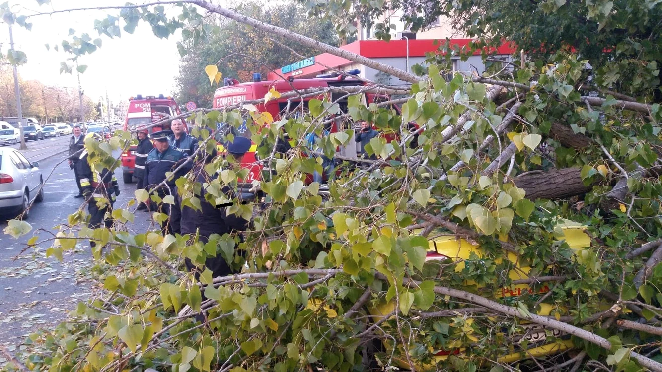 La fața locului au intervenit echipaje de pompieri și salvare