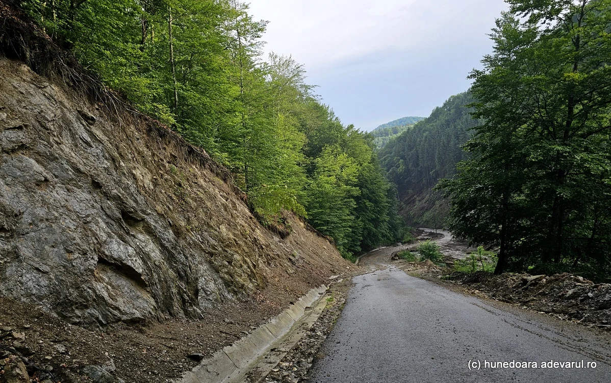 Transalpina pădurenilor. Foto: Daniel Guță