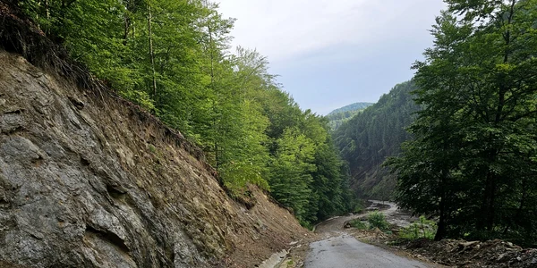 Privelisti de pe Transalpina Pădurenilor  Foto Daniel Guță (16) jpg