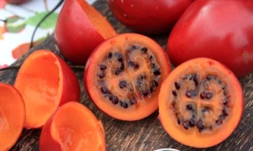 1 77511 original jpg jpeg