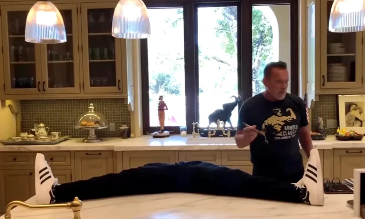 arnold schwarzenegger farsa png