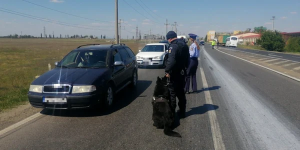 slobozia politie