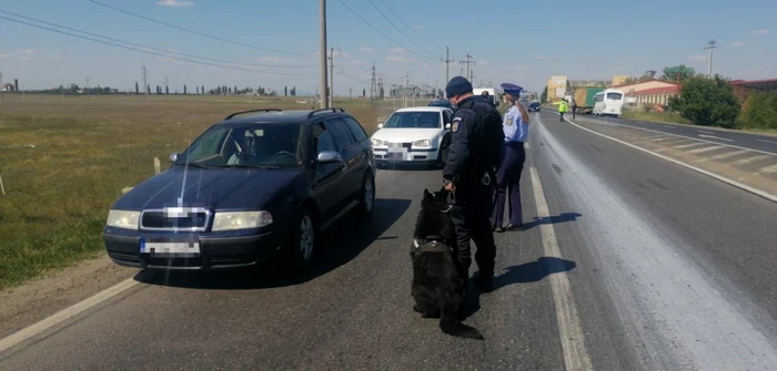 slobozia politie