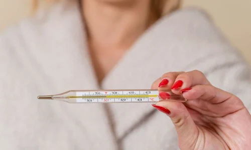 1 shutterstock 1026841336 jpg jpeg