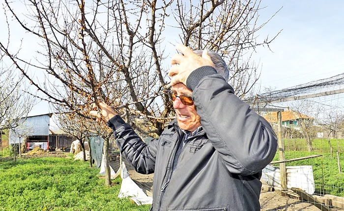 
    Nea Ionică Constantin  e necăjit: “Livada  mea e distrusă”  