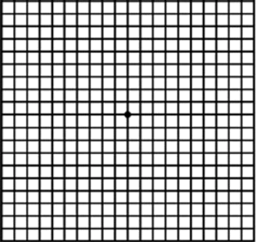 2 jpg jpeg