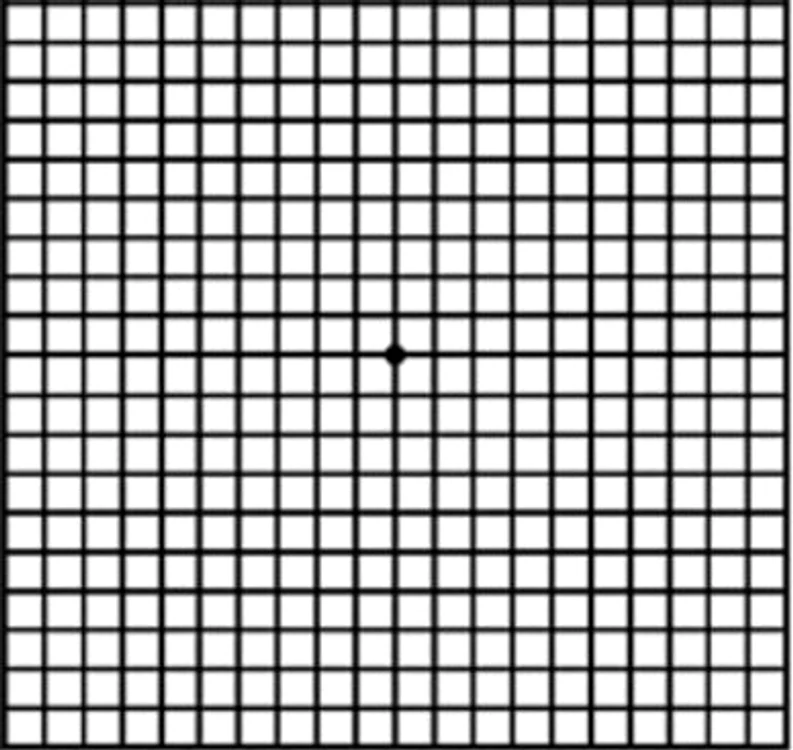 2 jpg jpeg