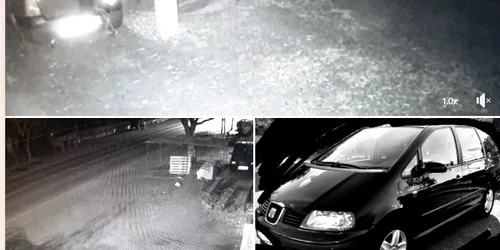 Hoți au fost filmați când fură doi saci cu cartofi FOTO Georgica Nastase / Facebook