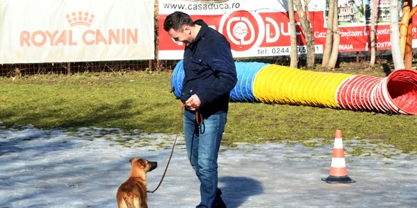 caine si detinut