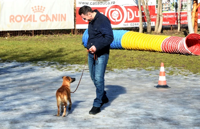 Iulian şi Emmy se pregătesc de prima lecţie de dresaj FOTO: Adevărul