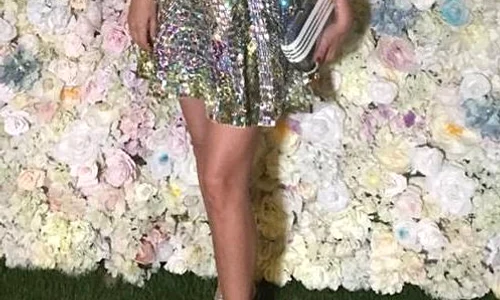 Brigitte Nastase mariaj jpeg