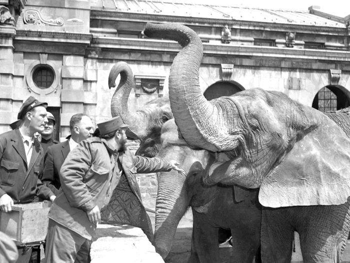 Vizita lui Castro la Grădina Zoologică din Bronx