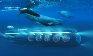 submarin petrecere profimedia jpg