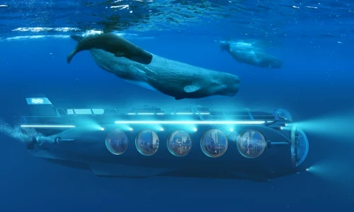 submarin petrecere profimedia jpg