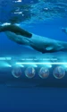 submarin petrecere profimedia jpg