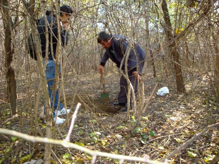 Săpături de recunoaştere în zăvoiul de lângă adăpost