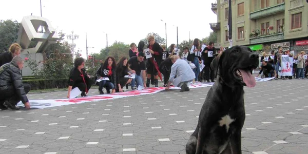 Miting împotriva eutanasierii câinilor din Timişoara FOTO Ştefan Both