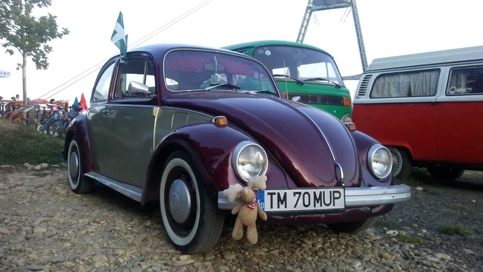 Hippie van-urile Volkswagen