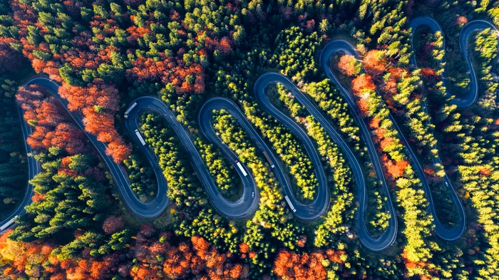 Drumul de basm de la Vălenii de Munte către Brașov. FOTO: Shutterstock