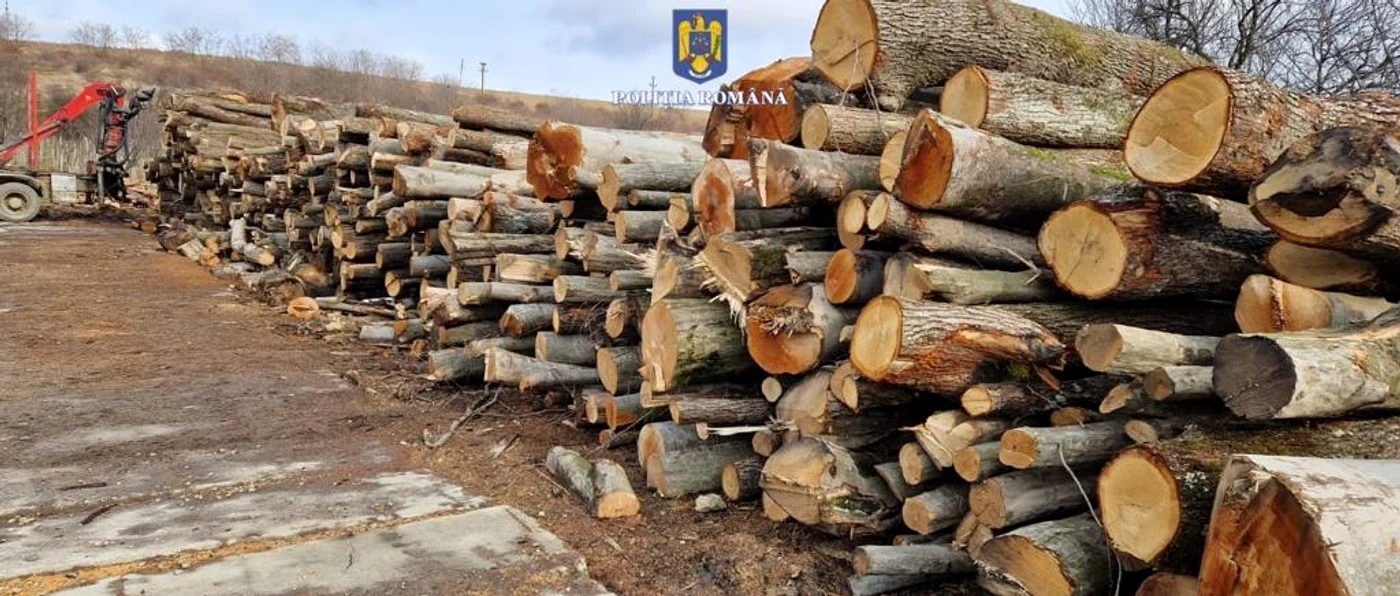 gater Suceava, foto: arhivă