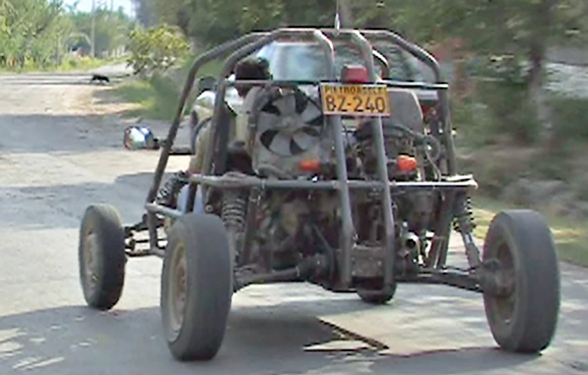Buzoianul se plimbă aproape zilnic pe dealurile din jurul comunei Pietroasele