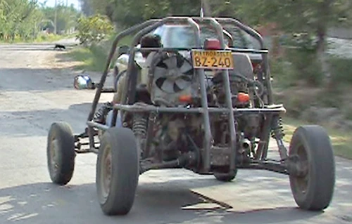 Buzoianul se plimbă aproape zilnic pe dealurile din jurul comunei Pietroasele