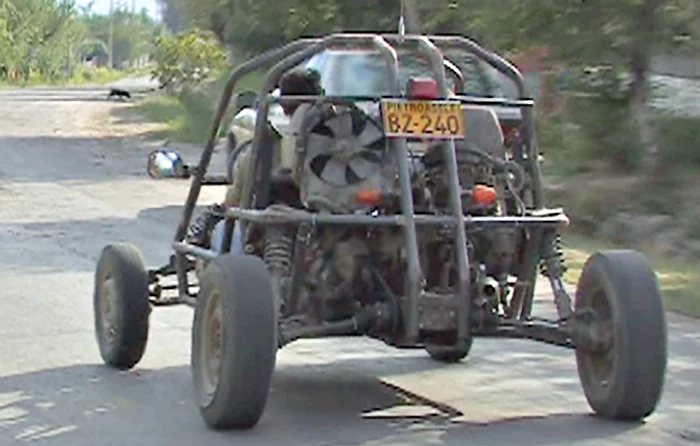 Buzoianul se plimbă aproape  zilnic pe dealurile din jurul  comunei Pietroasele