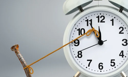 1 shutterstock 566238307 jpg jpeg