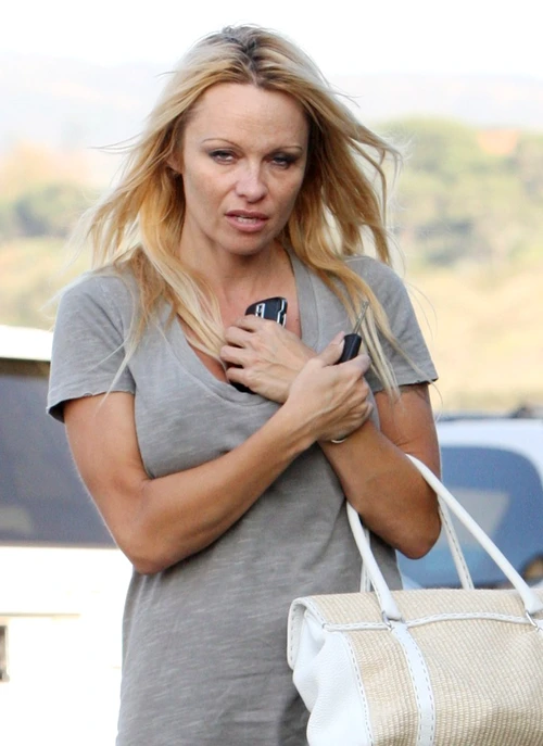 pamela anderson 1 jpeg