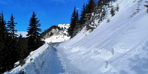 avalansa bucegi