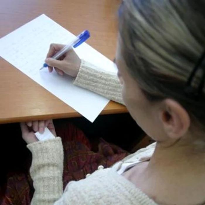Satu Mare: 40 de elevi au depus contestaţii la BAC