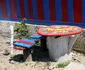 fan steaua bistrita 8