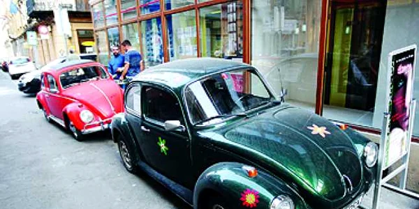Timişoara: Broscuţele au ieşit la paradă prin oraş